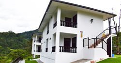 Fincas en san agustin huila colombia