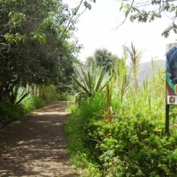 La-Chaquira-San-Agustin (2)